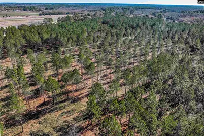 Lot #4 Fairview Road 008200-07-010, Batesburg, SC 29006 - Photo 29
