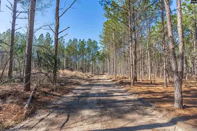 Lot #4 Fairview Road 008200-07-010, Batesburg, SC 29006 - Photo 1
