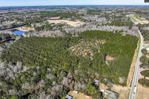 Lot #4 Fairview Road 008200-07-010, Batesburg, SC 29006 - Photo 23