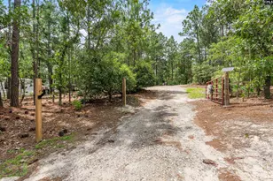 219 Chandler Dr, Gilbert, SC 29054 - Photo 29
