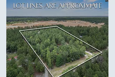 219 Chandler Drive, Gilbert, SC 29054 - Photo 33