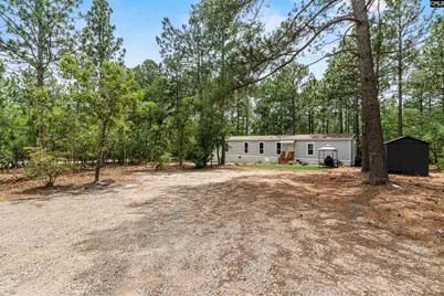 219 Chandler Drive, Gilbert, SC 29054 - Photo 3