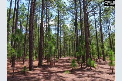 3915 Old Georgetown Road W, Westville, SC 29067 - Photo 11