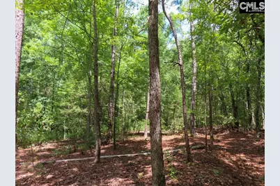 3915 Old Georgetown Road W, Westville, SC 29067 - Photo 19