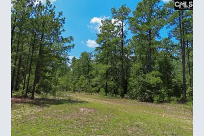 3915 Old Georgetown Road W, Westville, SC 29067 - Photo 21