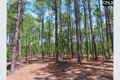 3915 Old Georgetown Road W, Westville, SC 29067 - Photo 15