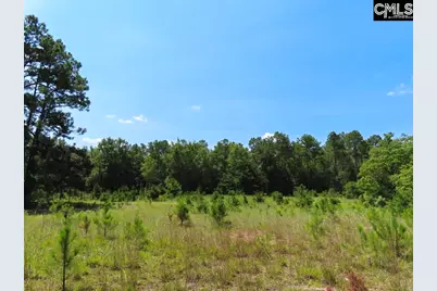 3915 Old Georgetown Road W, Westville, SC 29067 - Photo 13