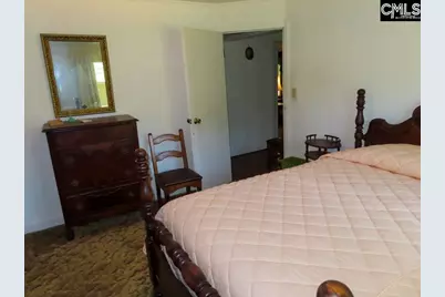 3915 Old Georgetown Road W, Westville, SC 29067 - Photo 57