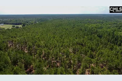 3915 Old Georgetown Road W, Westville, SC 29067 - Photo 39