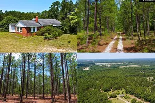 3915 Old Georgetown Rd W, Westville, SC 29067 - Photo 1
