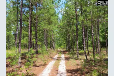 3915 Old Georgetown Road W, Westville, SC 29067 - Photo 7