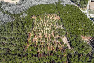 Lot #5 Fairview Road 008200-07-010, Batesburg, SC 29006 - Photo 7
