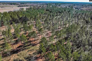 Lot #5 Fairview Road 008200-07-010, Batesburg, SC 29006 - Photo 23