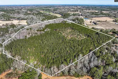 Lot #7 Fairview Road 008200-07-010, Batesburg, SC 29006 - Photo 27