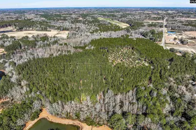 Lot #7 Fairview Road 008200-07-010, Batesburg, SC 29006 - Photo 25