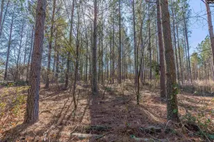 Lot #7 Fairview Road 008200-07-010, Batesburg, SC 29006 - Photo 3