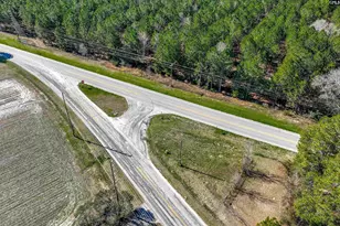 Lot #7 Fairview Road 008200-07-010, Batesburg, SC 29006 - Photo 17