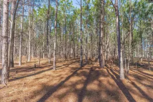 Lot #7 Fairview Road 008200-07-010, Batesburg, SC 29006 - Photo 5