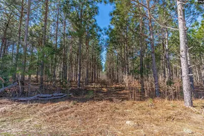 Lot #6 Fairview Road 008200-07-010, Batesburg, SC 29006 - Photo 3