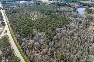 Lot #6 Fairview Road 008200-07-010, Batesburg, SC 29006 - Photo 29