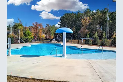 1241 Danvers Lane, Chapin, SC 29036 - Photo 9