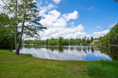 1 Lower Glen Court, Blythewood, SC 29016 - Photo 5