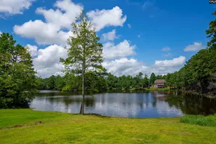 1 Lower Glen Ct, Blythewood, SC 29016 - Photo 39