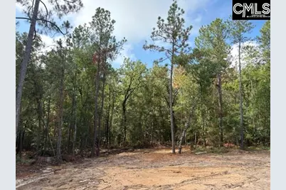 991 Ben Franklin Road, Gilbert, SC 29054 - Photo 19