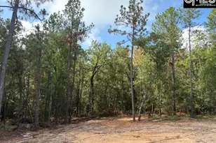 991 Ben Franklin Rd, Gilbert, SC 29054 - Photo 19