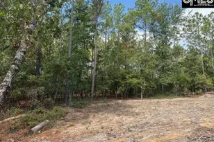 991 Ben Franklin Rd, Gilbert, SC 29054 - Photo 17