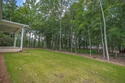 1040 Refuge Place, Chapin, SC 29036 - Photo 5