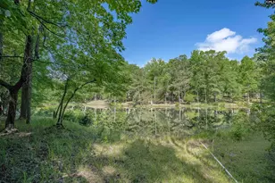 217 Ashley Oaks Dr, Blythewood, SC 29016 - Photo 37