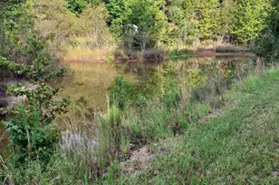 1020 Pine Bark Rd, Camden, SC 29020 - Photo 19