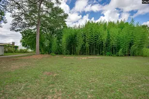 2012 Elm Abode Terrace, Columbia, SC 29210 - Photo 53
