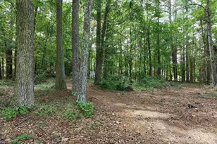3279 Nance St, Newberry, SC 29108 - Photo 43