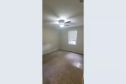 381 Pin Oak Drive, Lexington, SC 29073 - Photo 9