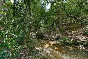 550 Old Shoals Rd, Monetta, SC 29129 - Photo 43