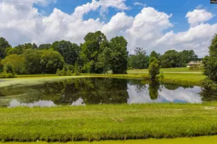 1358 Yarborough Rd, Saluda, SC 29138 - Photo 3