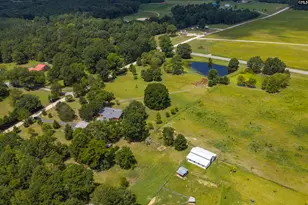 1358 Yarborough Rd, Saluda, SC 29138 - Photo 13