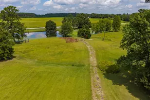 1358 Yarborough Rd, Saluda, SC 29138 - Photo 9