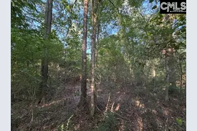 0 Old Jollystreet Road, Newberry, SC 29108 - Photo 11