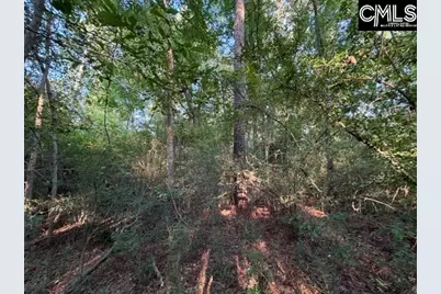 0 Old Jollystreet Road, Newberry, SC 29108 - Photo 9