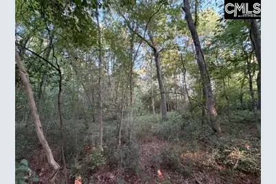 0 Old Jollystreet Road, Newberry, SC 29108 - Photo 5