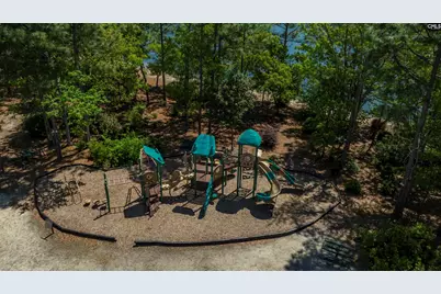 220 Glossy Green Lane, Lexington, SC 29072 - Photo 49