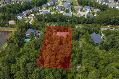 2435 Old Lexington Highway, Chapin, SC 29036 - Photo 3
