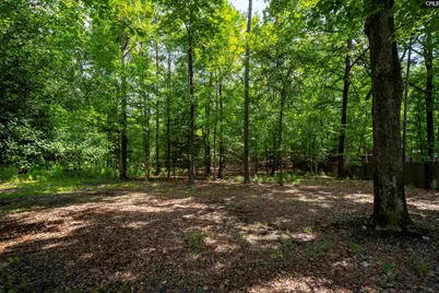 2435 Old Lexington Highway, Chapin, SC 29036 - Photo 61