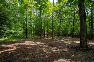 2435 Old Lexington Hwy, Chapin, SC 29036 - Photo 61