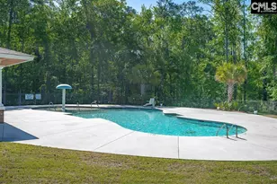 2435 Old Lexington Hwy, Chapin, SC 29036 - Photo 71