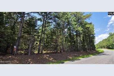 105 Acres Chestnut Ridge Road, McCormick, SC 29835 - Photo 1
