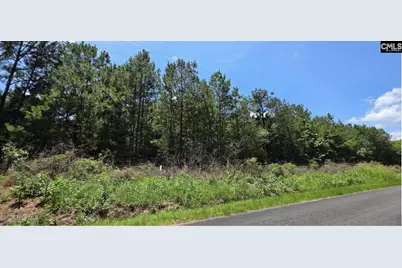 105 Acres Chestnut Ridge Road, McCormick, SC 29835 - Photo 3